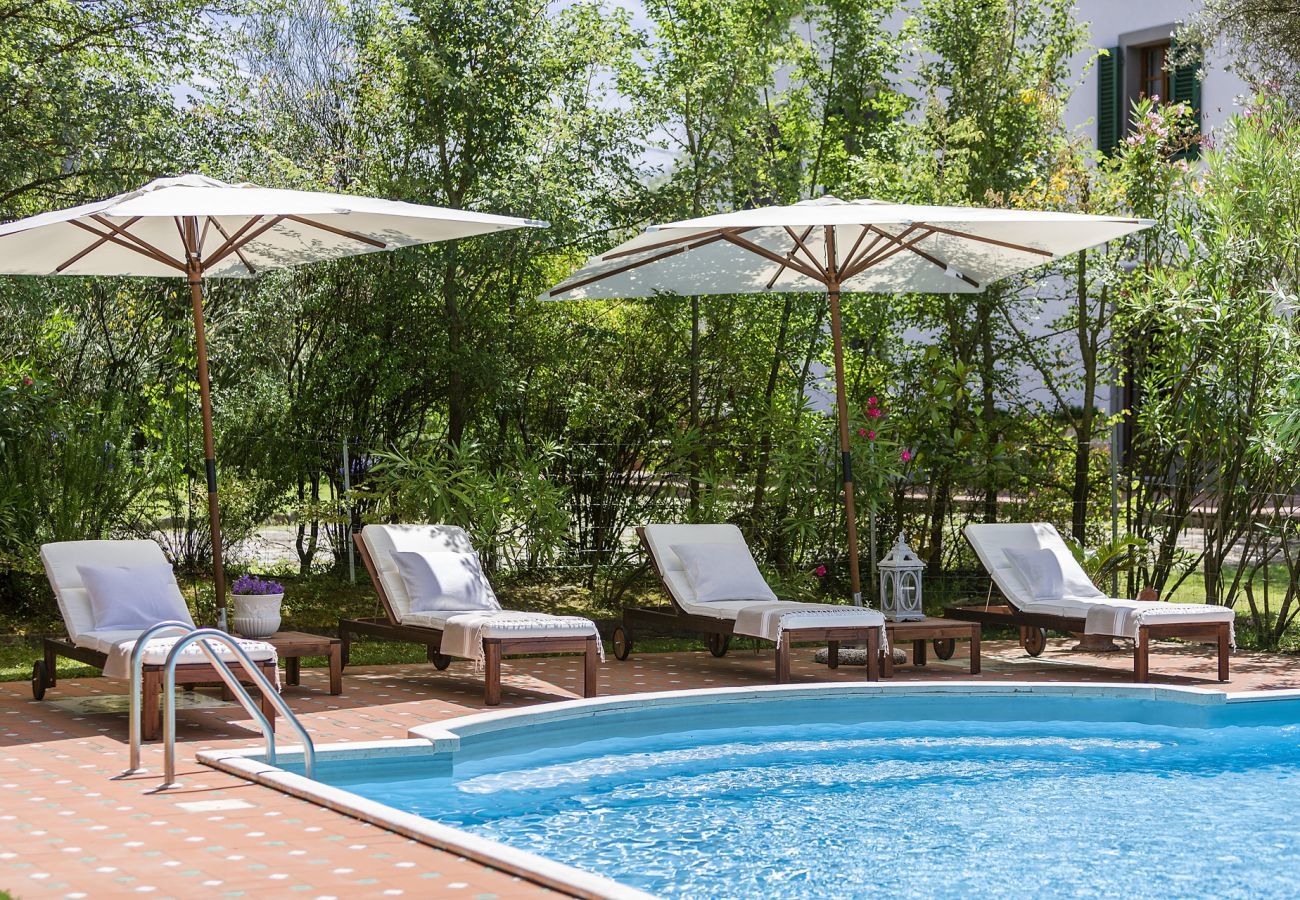 Villa in Lucca - VILLA CARCIOFAIA: Charming Luxury Tuscan Villa with Pool surrounded by Vineyards with Views over Lucca Town