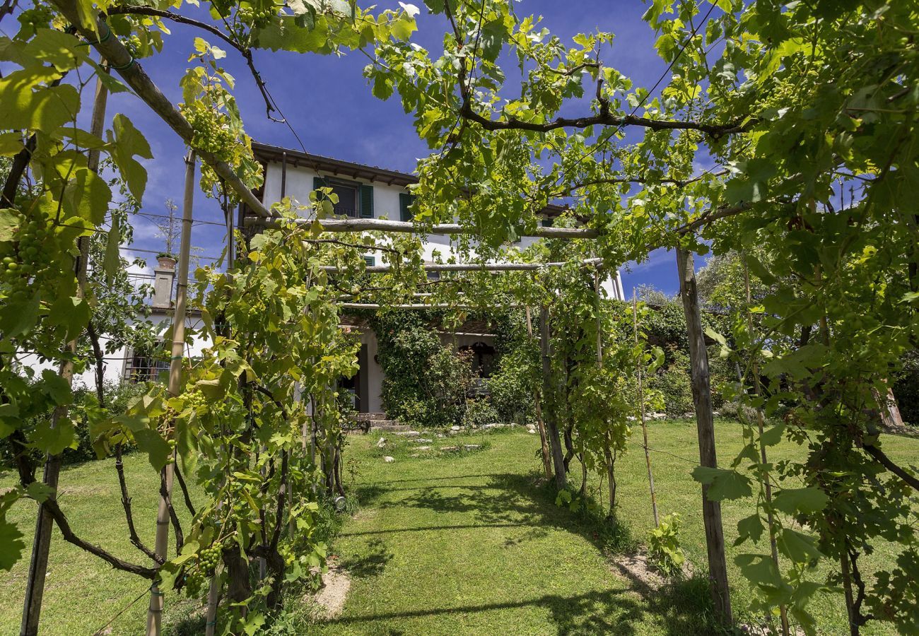 Villa in Lucca - VILLA CARCIOFAIA: Charming Luxury Tuscan Villa with Pool surrounded by Vineyards with Views over Lucca Town