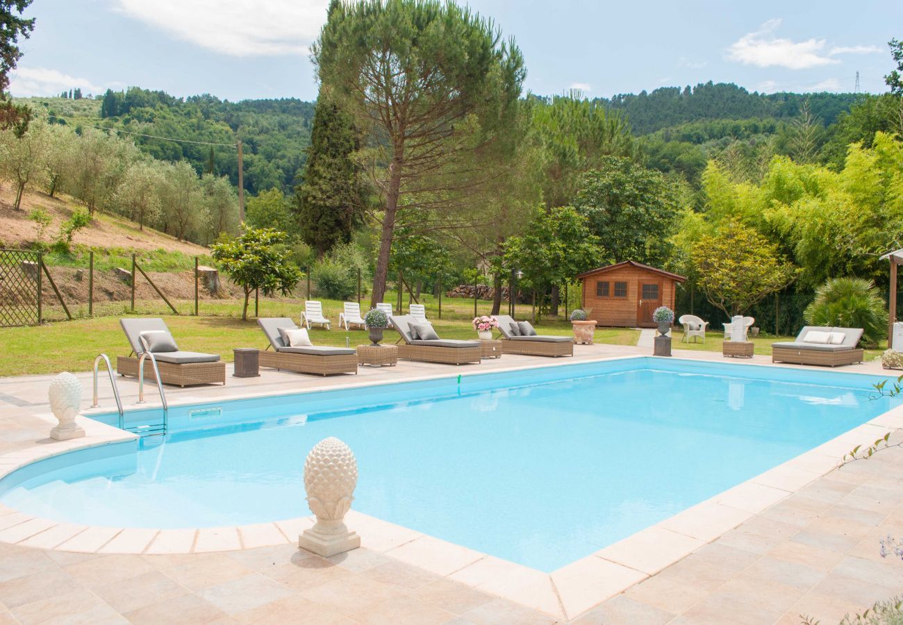 Villa in Camaiore - Bicocche Stone Farmhouse
