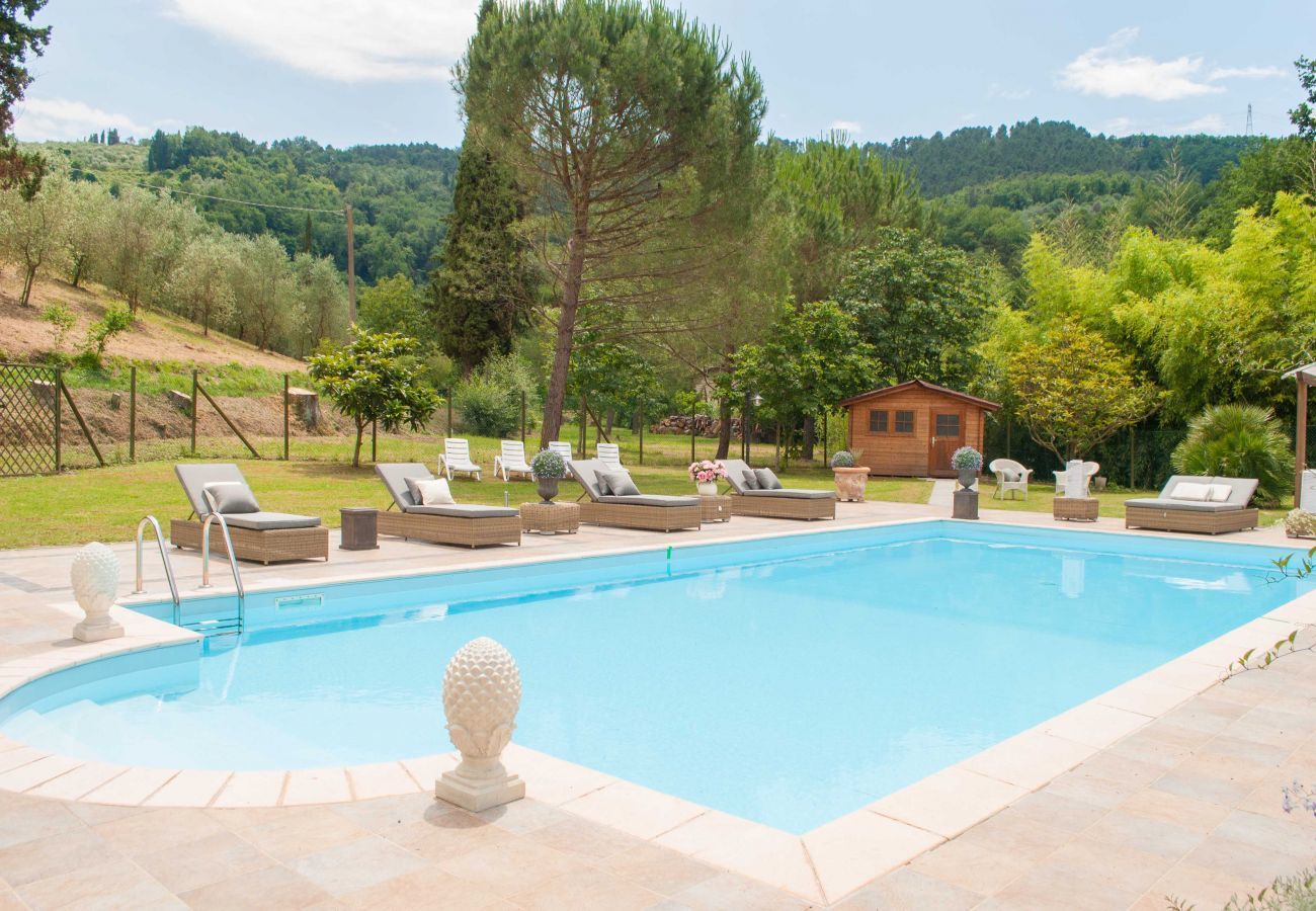 Villa in Camaiore - BICOCCHE FARMHOUSE: Country Stone Villa with Pool in Camaiore between Lucca & Beaches of Versilia