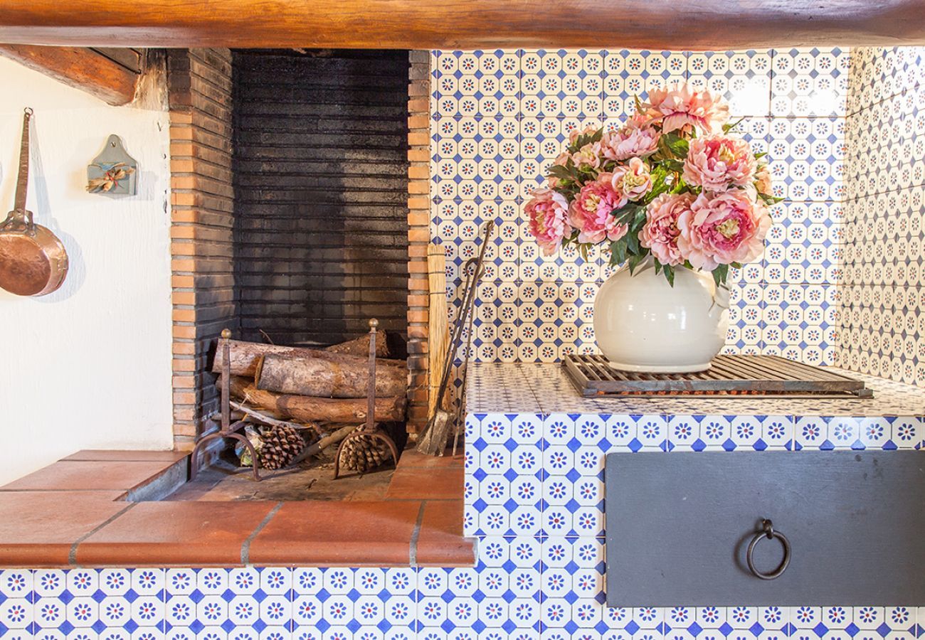 Villa in Camaiore - Bicocche Stone Farmhouse