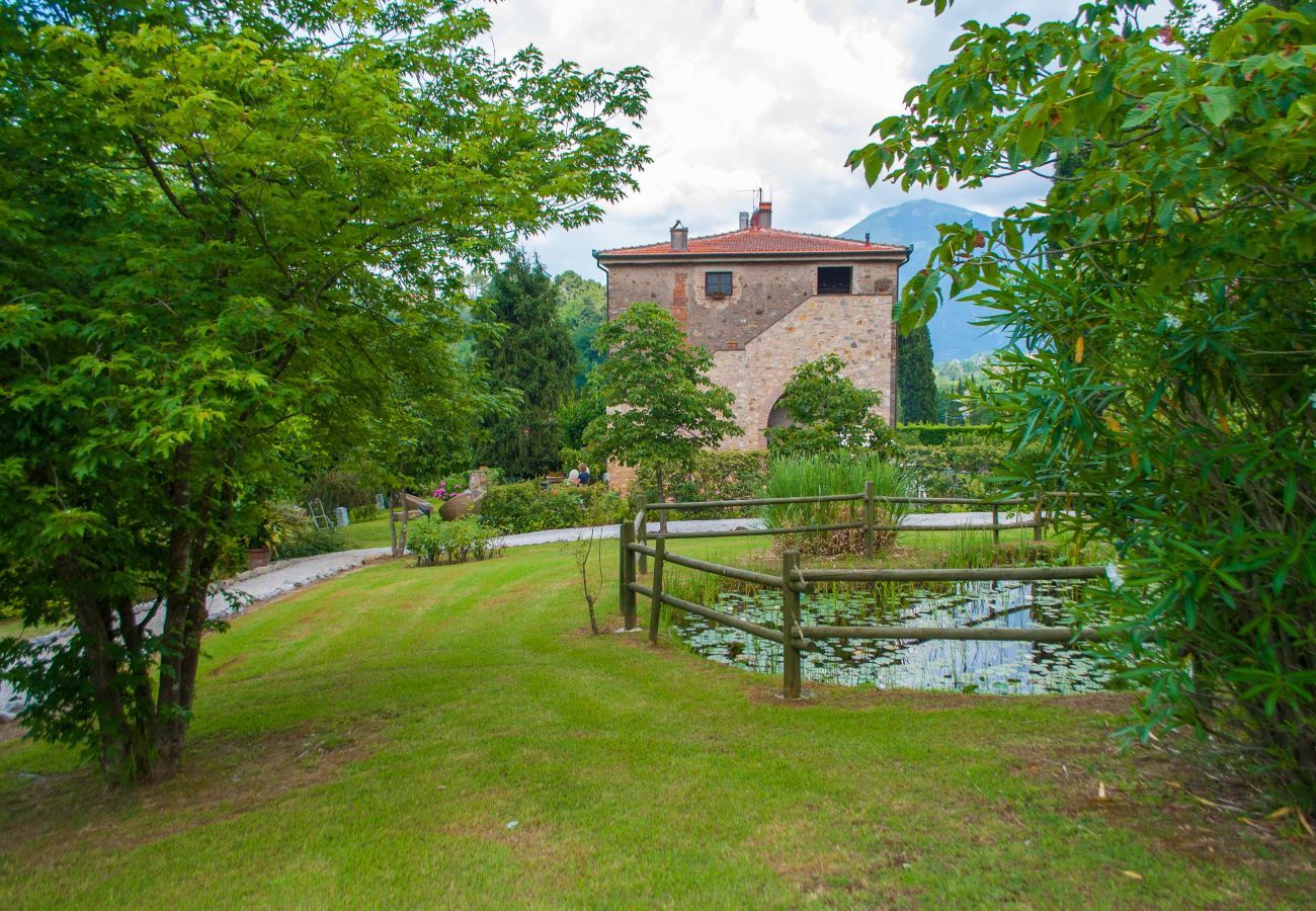 Villa in Camaiore - Bicocche Stone Farmhouse