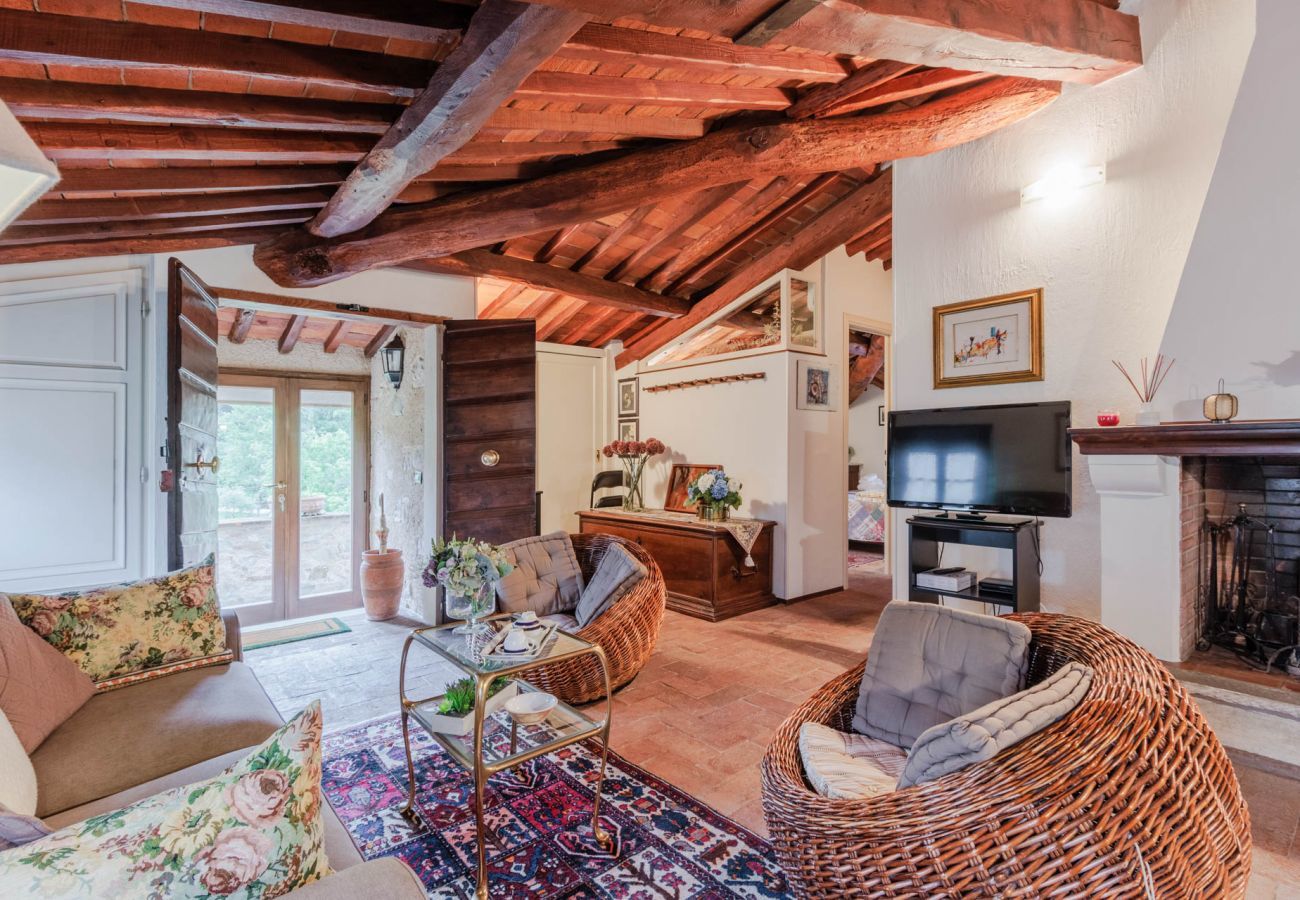 Villa in Camaiore - Bicocche Stone Farmhouse