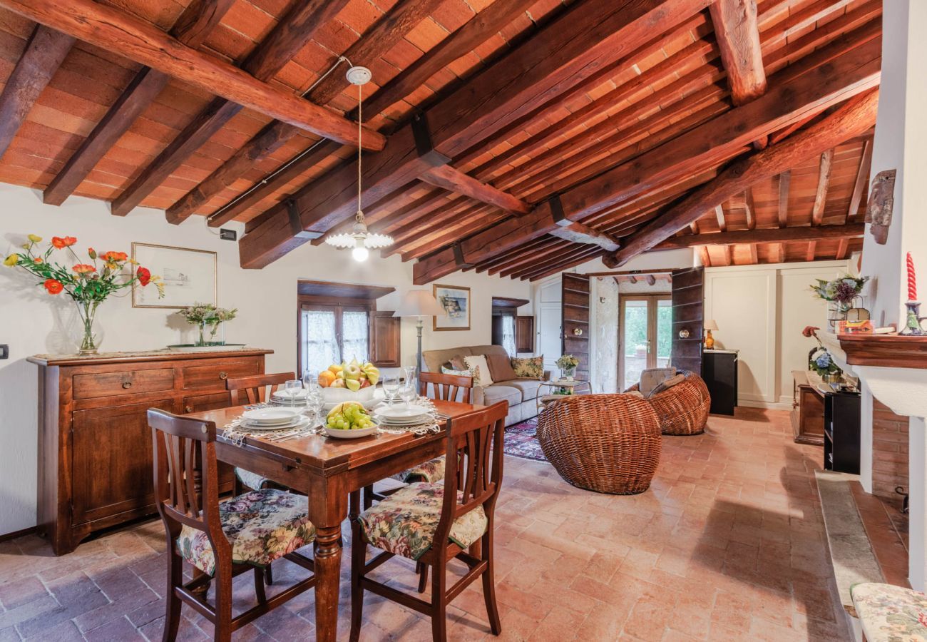 Villa in Camaiore - Bicocche Stone Farmhouse