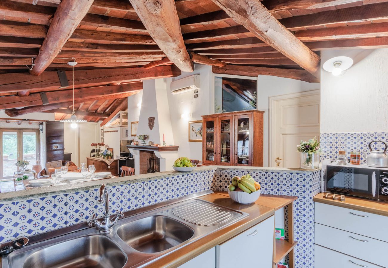 Villa in Camaiore - Bicocche Stone Farmhouse