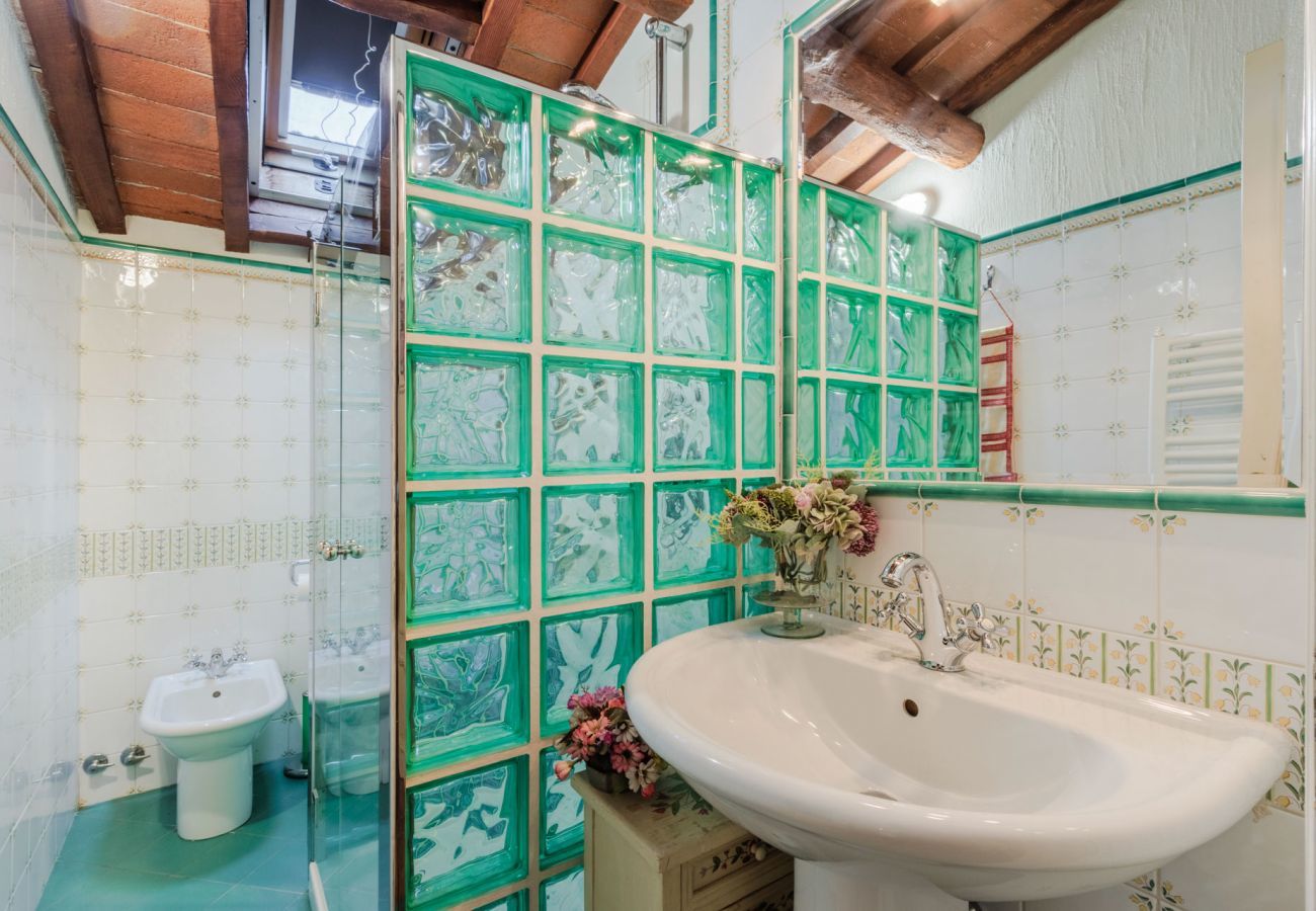 Villa in Camaiore - Bicocche Stone Farmhouse