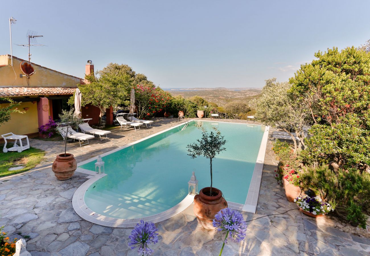 Villa in Santa Teresa Gallura - VILLA FRANCESCA with Private Infinity Pool View over La Maddalena Archipelago