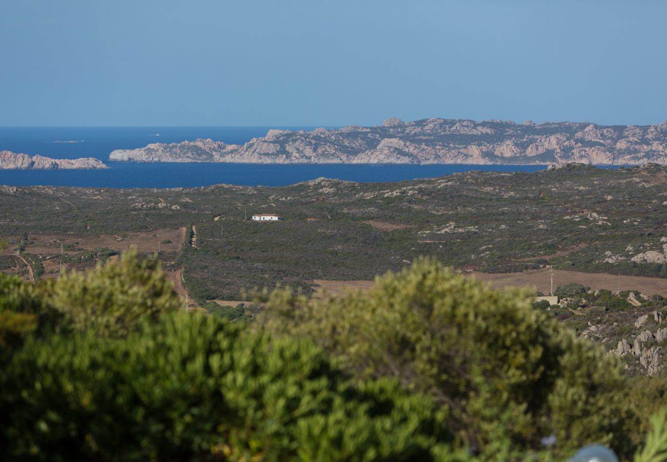 Villa in Santa Teresa Gallura - VILLA FRANCESCA with Private Infinity Pool View over La Maddalena Archipelago