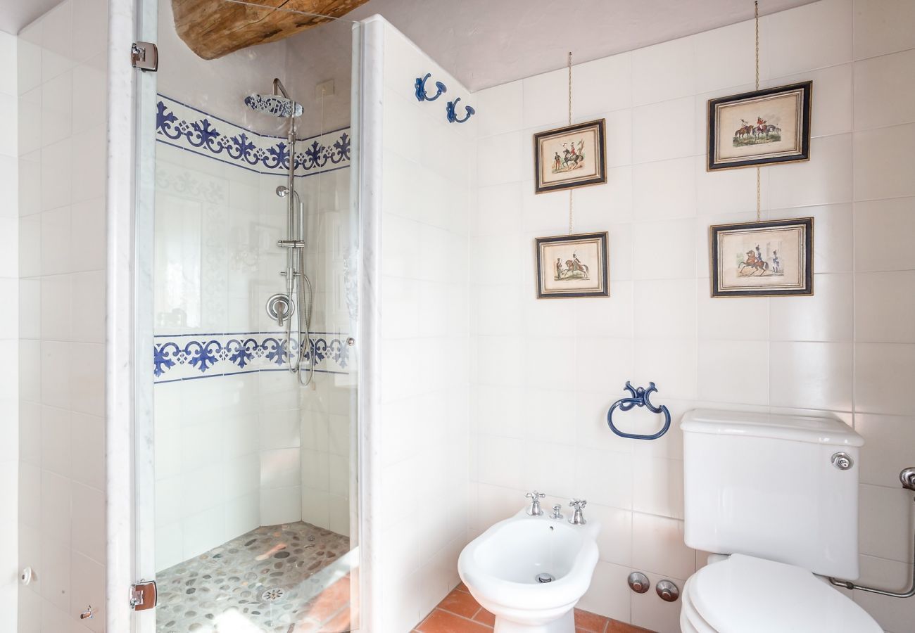 Villa in Capannori - Villa Il Palagio