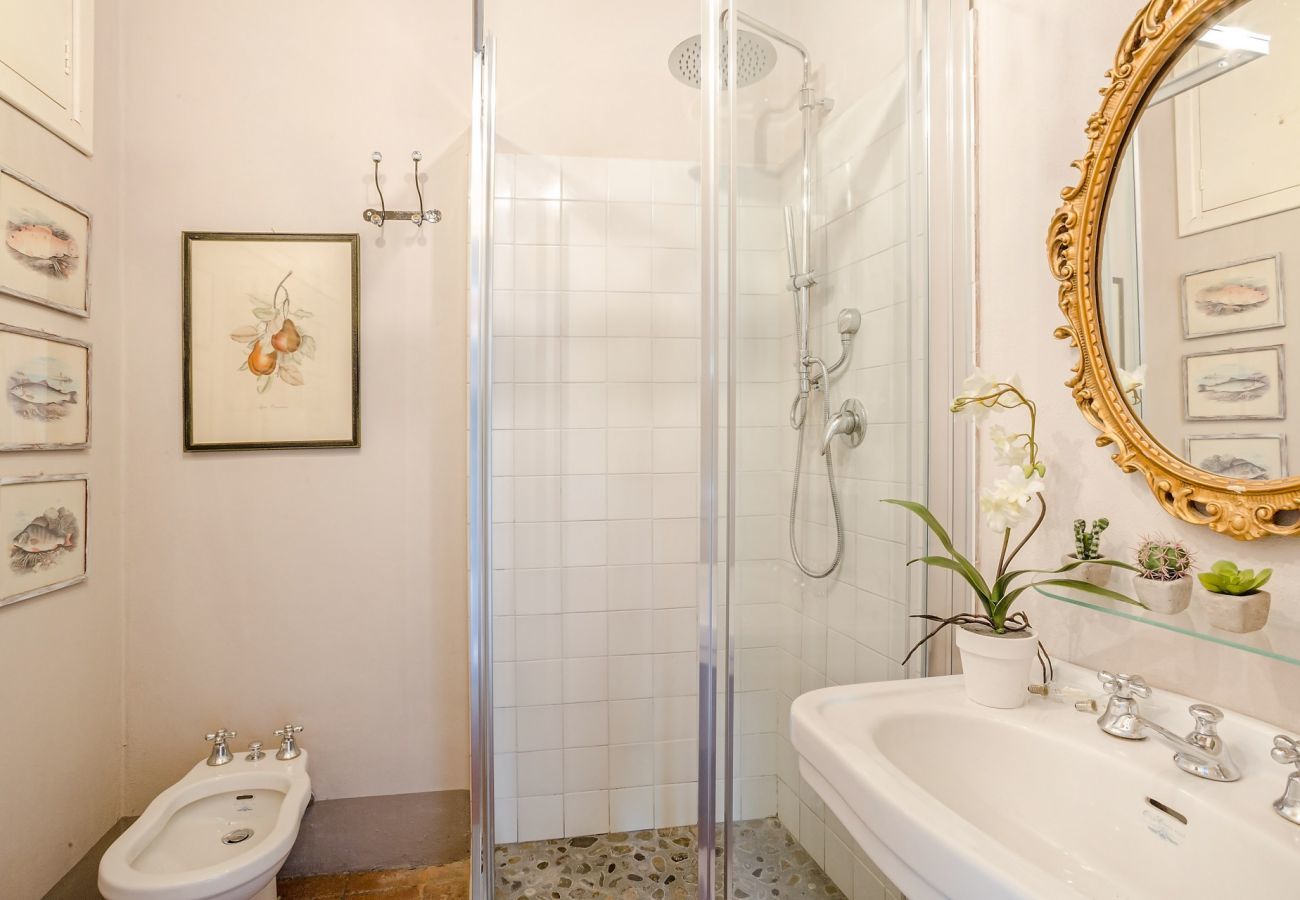 Villa in Capannori - Villa Il Palagio