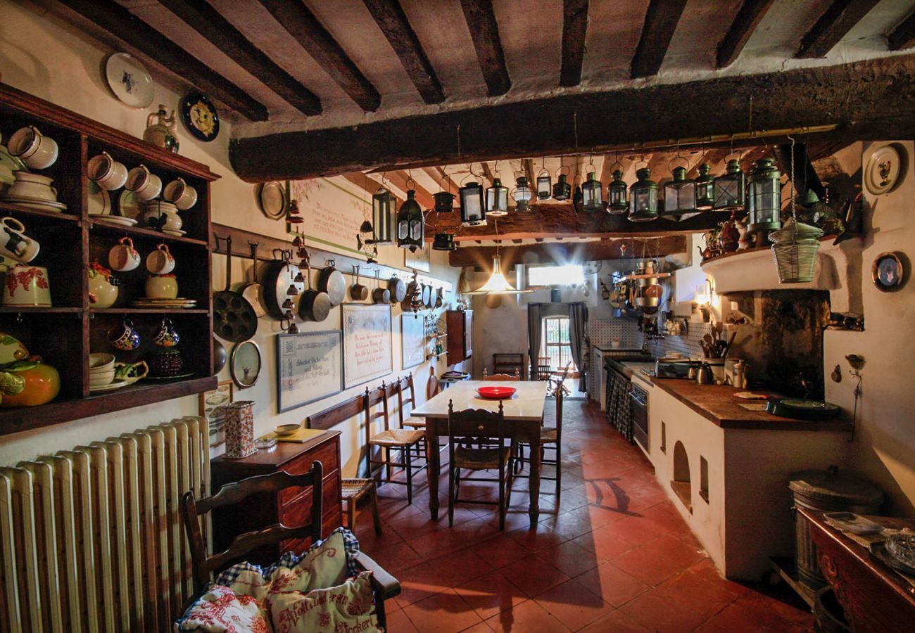 Villa in Capannori - A Wonderful Antique 7 bedrooms Villa Immersed Into a Winery in Lucca!
