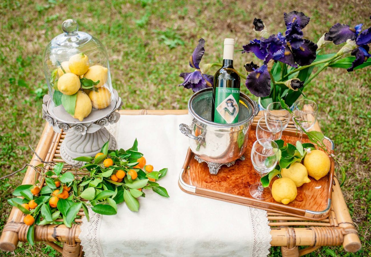 Villa in Capannori - A Wonderful Antique 7 bedrooms Villa Immersed Into a Winery in Lucca!