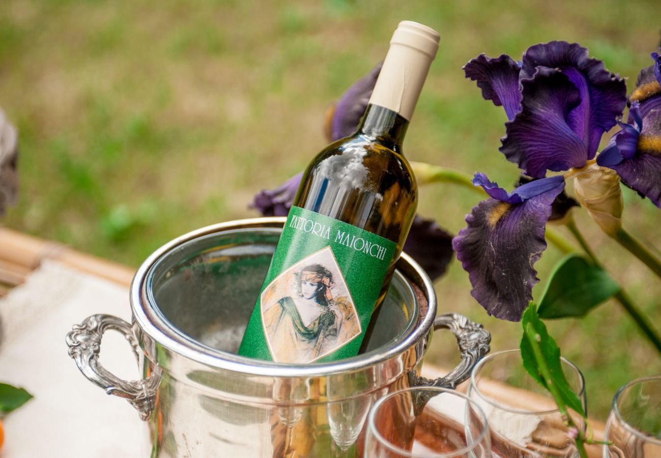 Villa in Capannori - A Wonderful Antique 7 bedrooms Villa Immersed Into a Winery in Lucca!