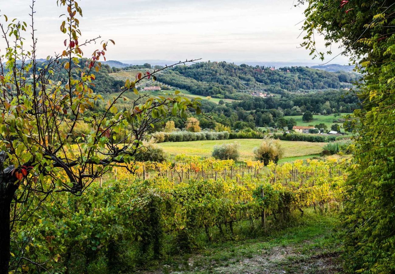 Villa in Capannori - A Wonderful Antique 7 bedrooms Villa Immersed Into a Winery in Lucca!