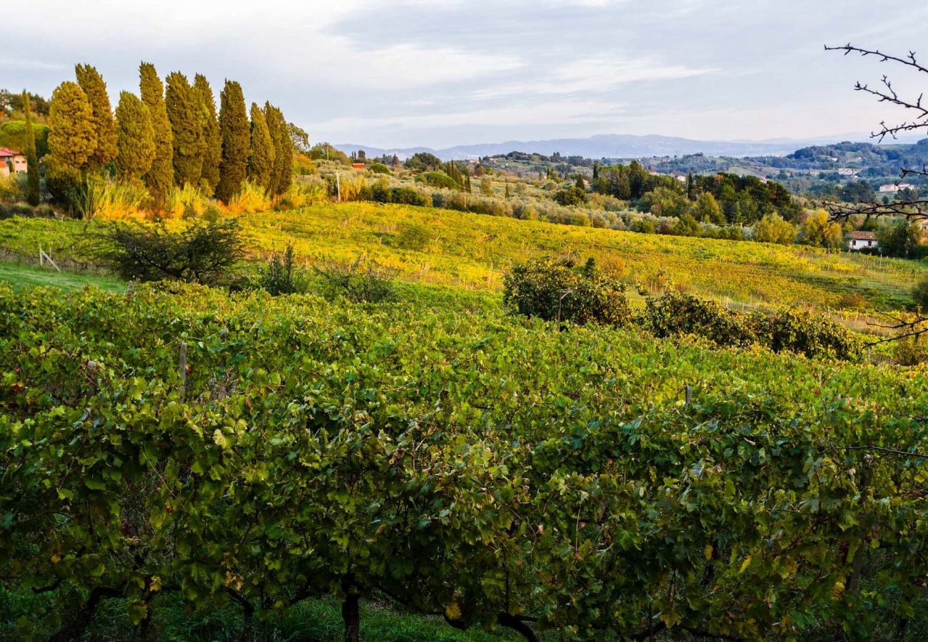 Villa in Capannori - A Wonderful Antique 7 bedrooms Villa Immersed Into a Winery in Lucca!