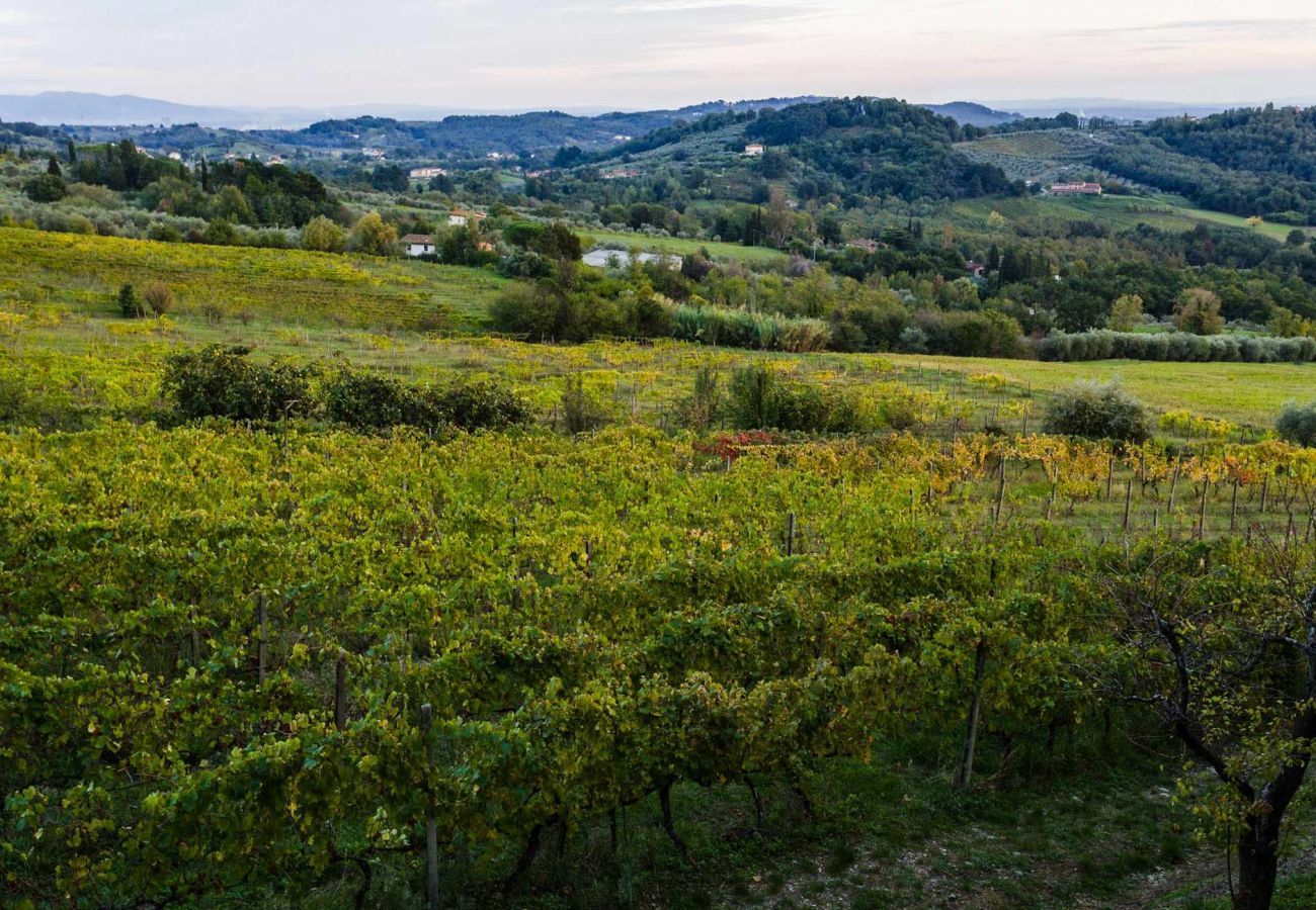 Villa in Capannori - A Wonderful Antique 7 bedrooms Villa Immersed Into a Winery in Lucca!