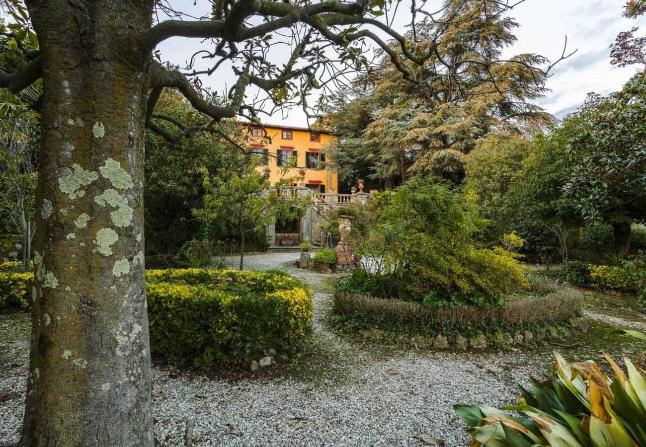 Villa in Capannori - A Wonderful Antique 7 bedrooms Villa Immersed Into a Winery in Lucca!