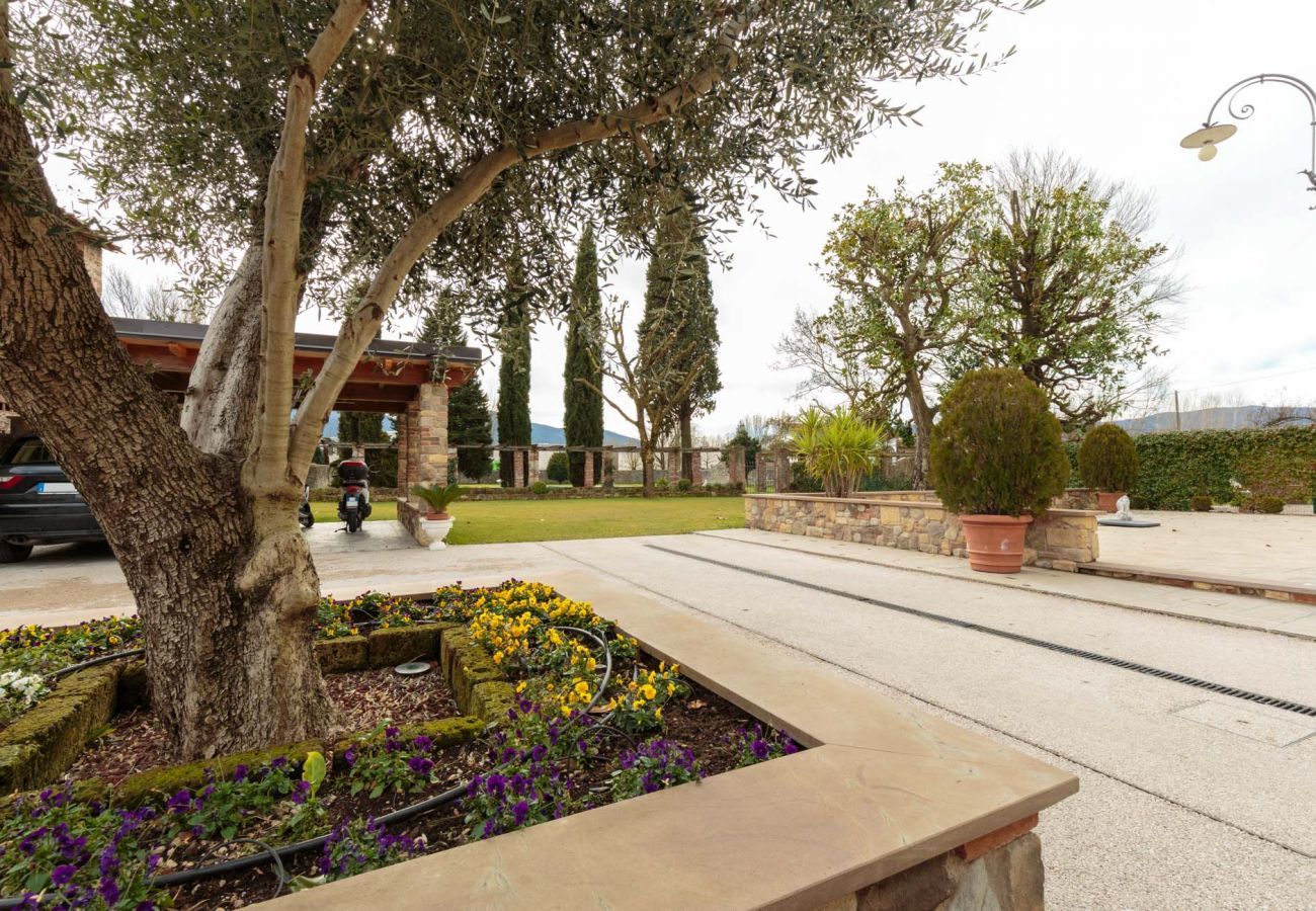Villa in Lucca - Villa Leonor