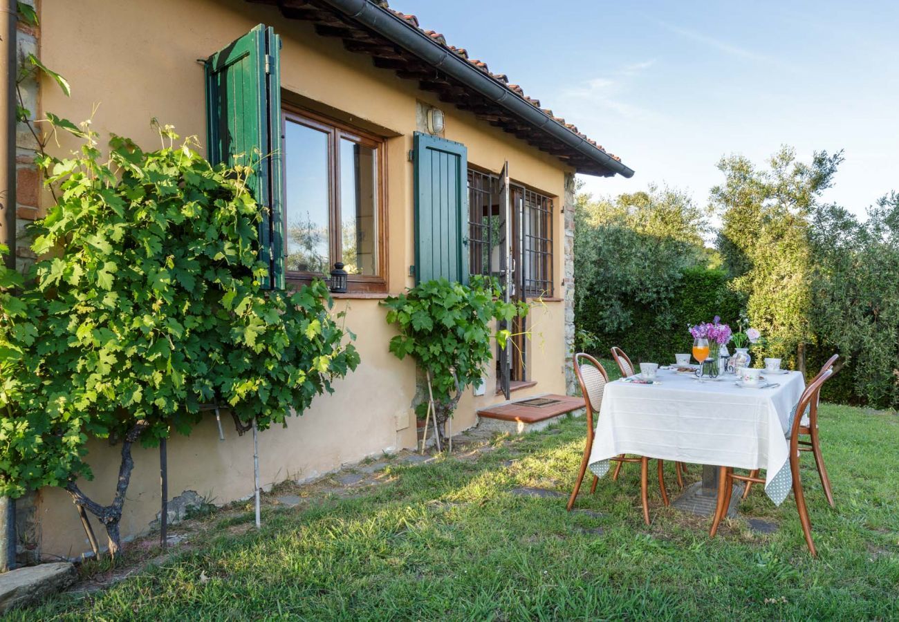 Villa in Capannori - Melograno Farmhouse
