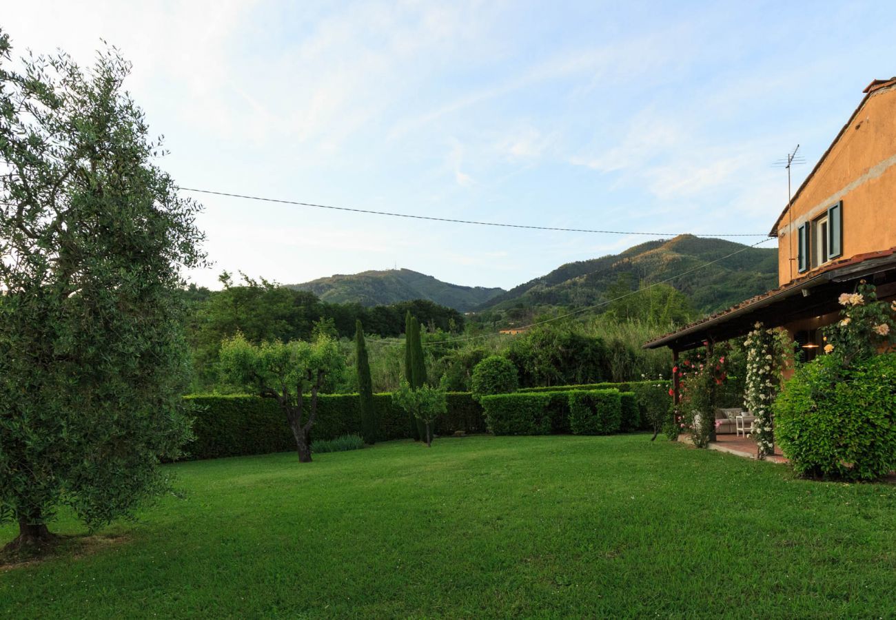 Villa in Capannori - Melograno Farmhouse