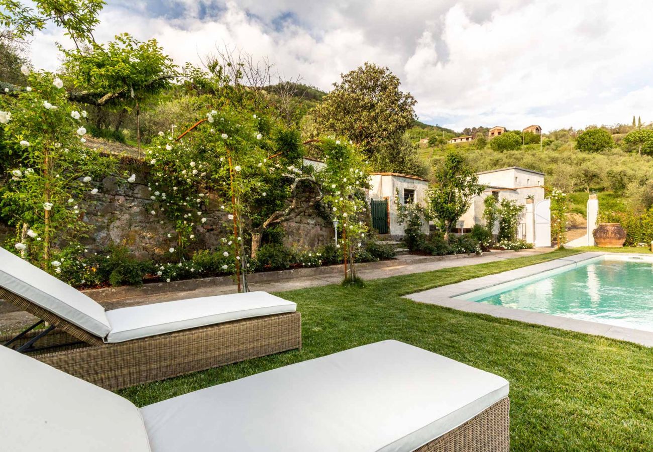 Villa in Capannori - VILLA VALGIANO a Tuscan Country House among the Vineyards - 12 bedrooms and SPA