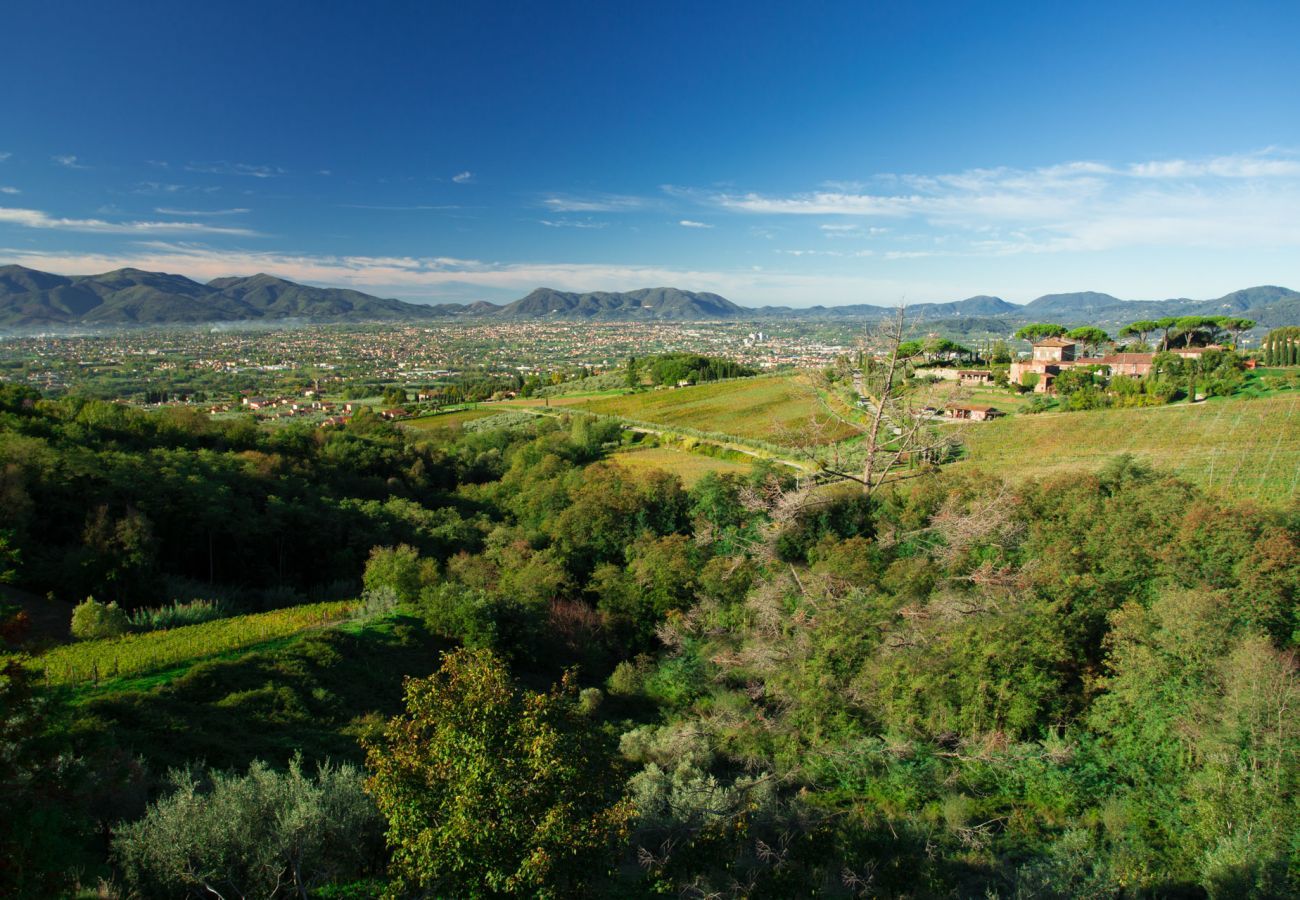 Villa in Capannori - VILLA VALGIANO a Tuscan Country House among the Vineyards - 12 bedrooms and SPA