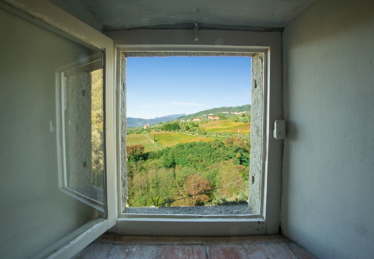 Villa in Capannori - VILLA VALGIANO a Tuscan Country House among the Vineyards - 12 bedrooms and SPA