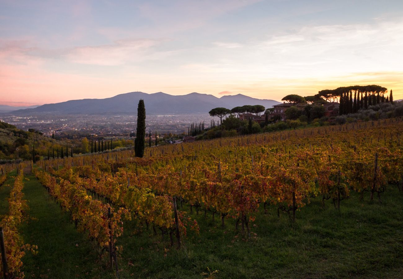 Villa in Capannori - VILLA VALGIANO a Tuscan Country House among the Vineyards - 12 bedrooms and SPA