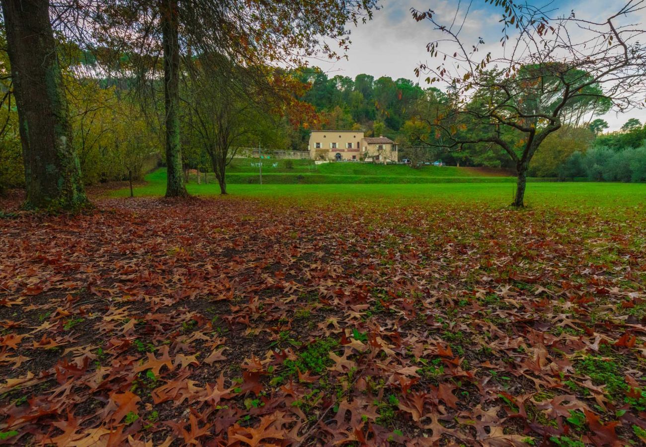 Villa in Vorno - Villa Viola Residenze Seicento