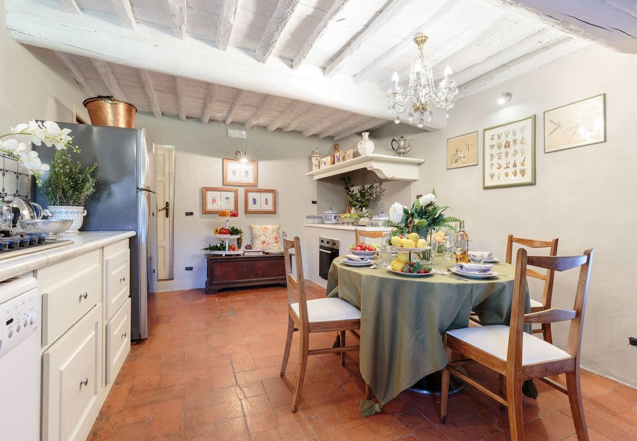 Villa in Vorno - VILLA VIOLA - Residenze Seicento - An historic Villa with Garden close to Lucca with Air Conditioning