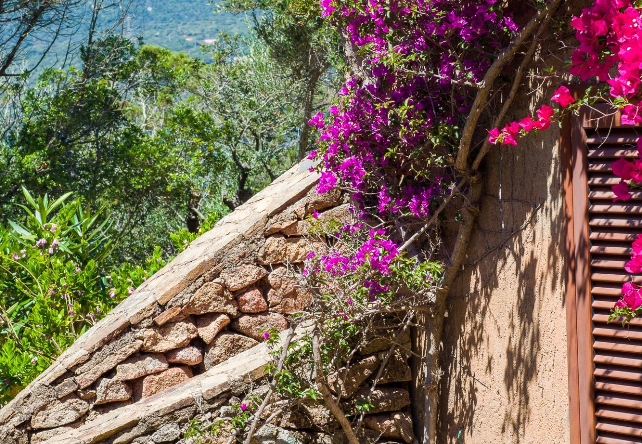Apartment in Porto Rotondo - Caletta Nest 10