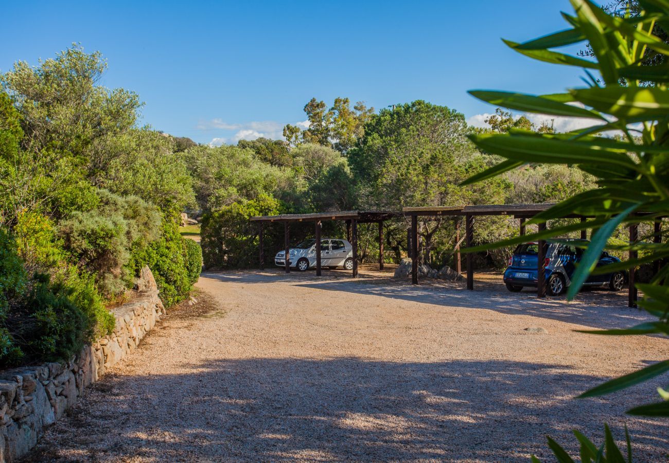 Apartment in Porto Rotondo - Caletta Nest 108