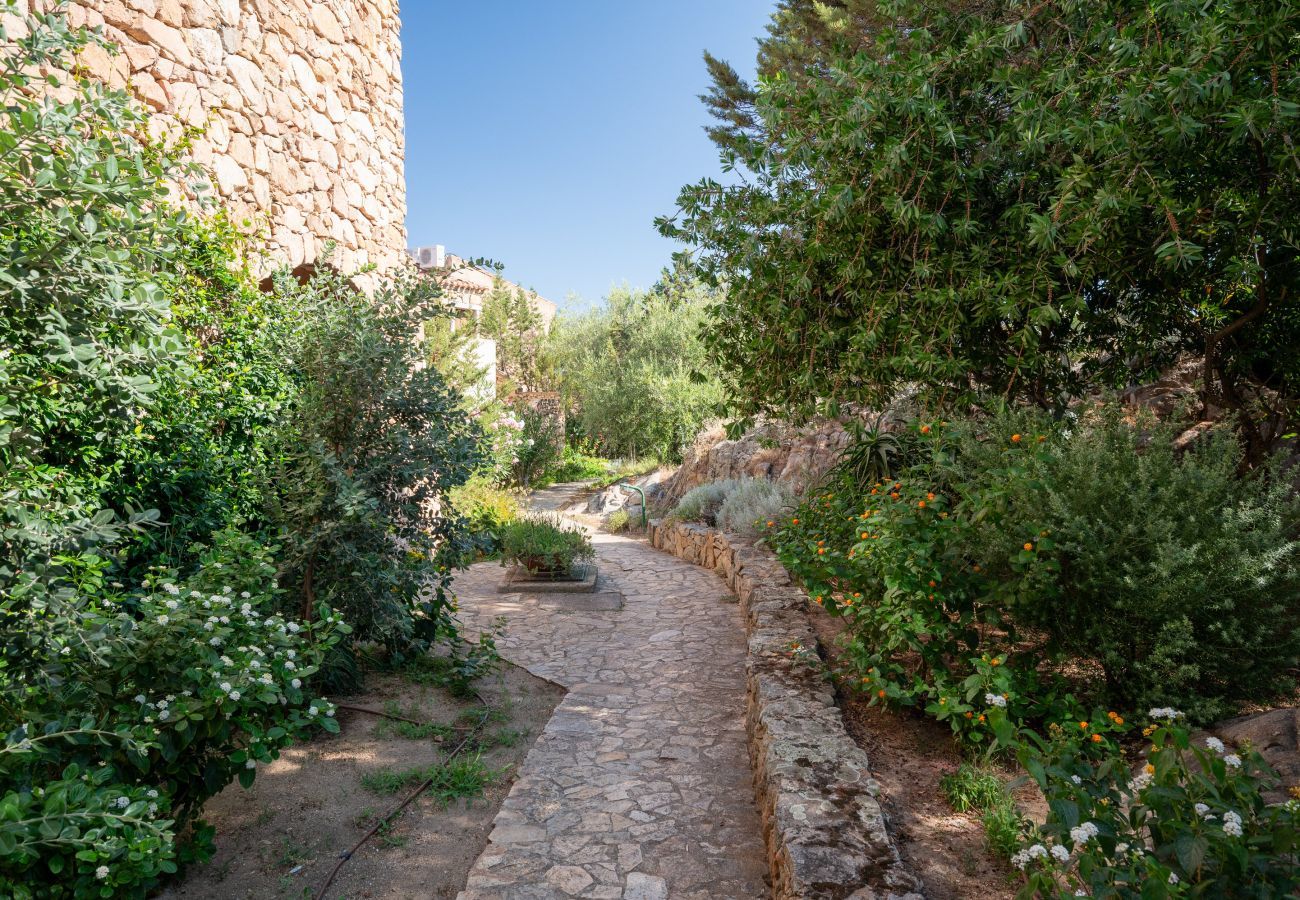Apartment in Porto Rotondo - Caletta Nest 108