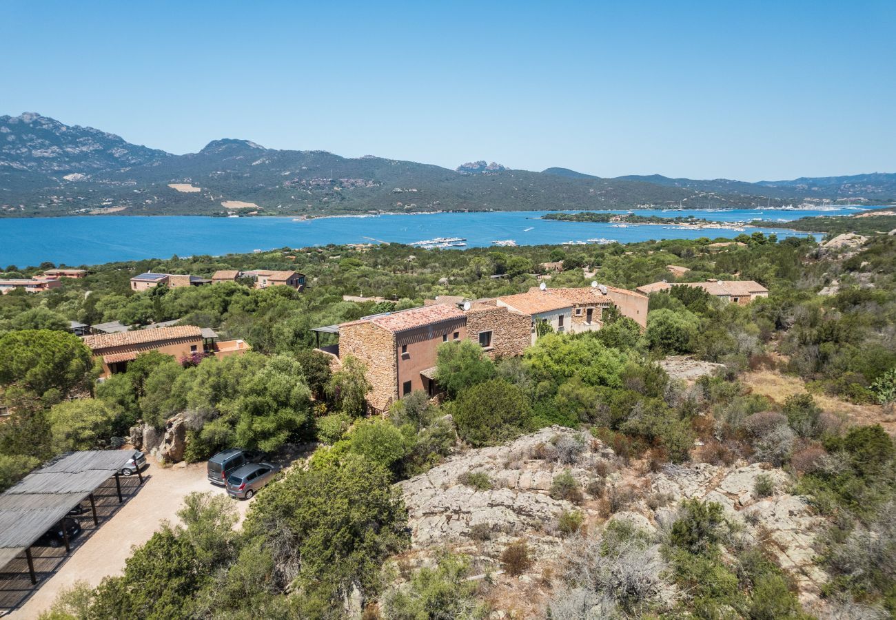 Apartment in Porto Rotondo - Caletta Nest 108