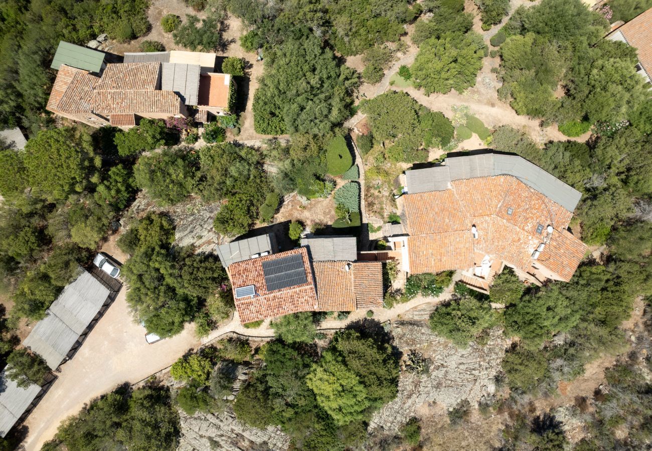 Apartment in Porto Rotondo - Caletta Nest 108