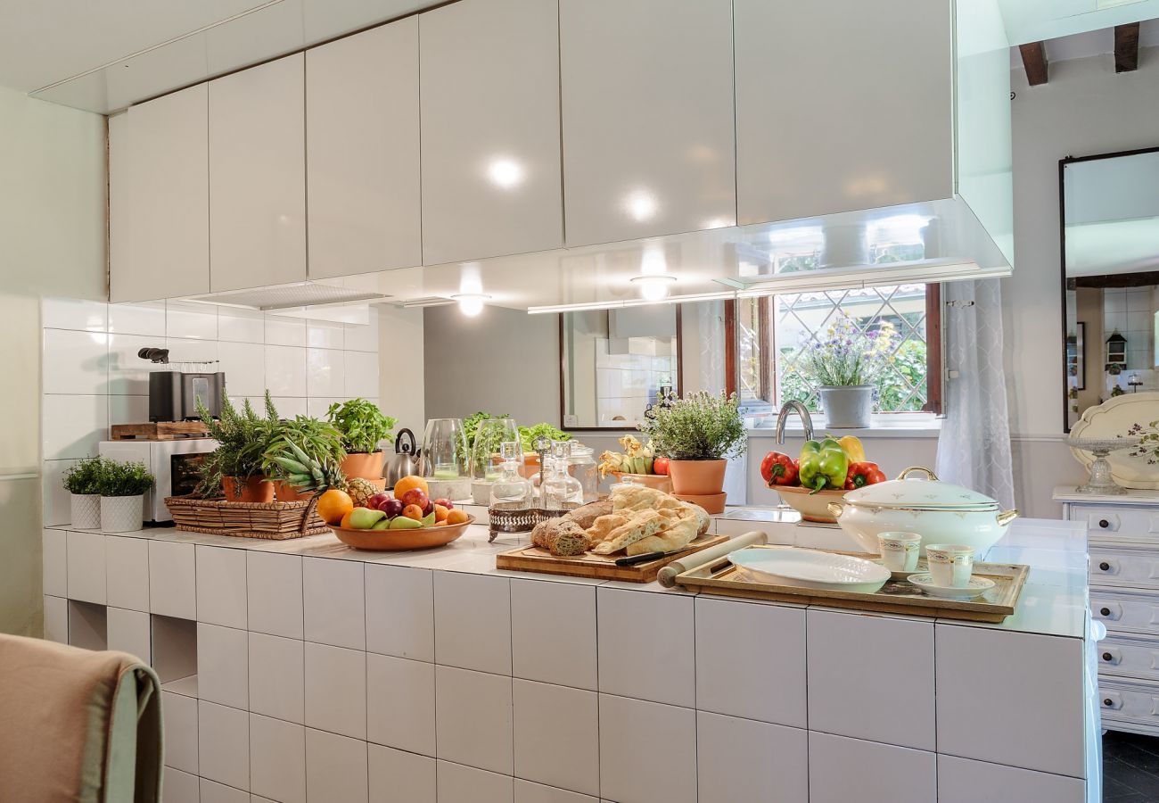 Villa in Lucca - BOCCIOLO FARMHOUSE with POOL, 5 mins to Lucca Town