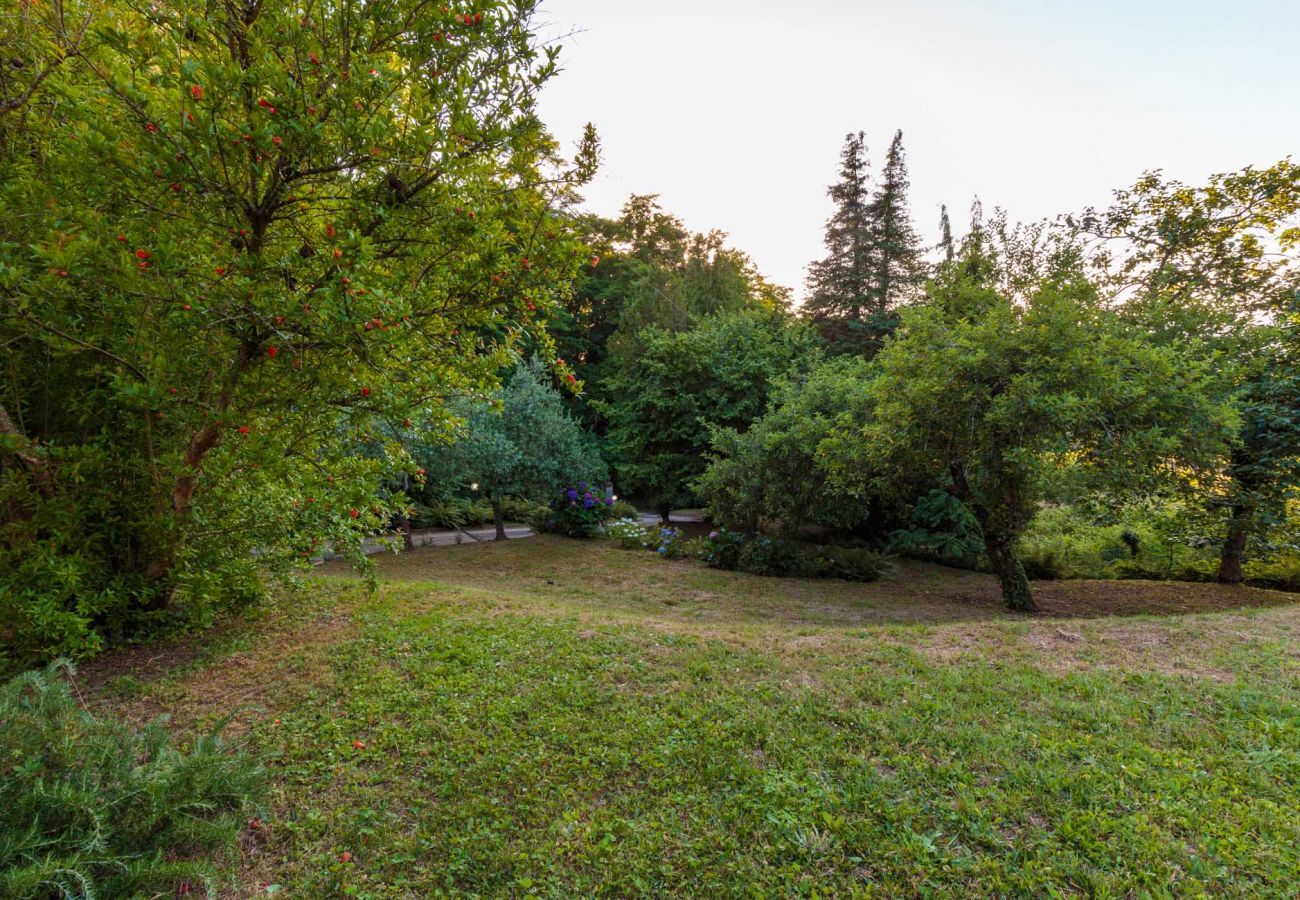 Villa in Lucca - BOCCIOLO FARMHOUSE with POOL, 5 mins to Lucca Town