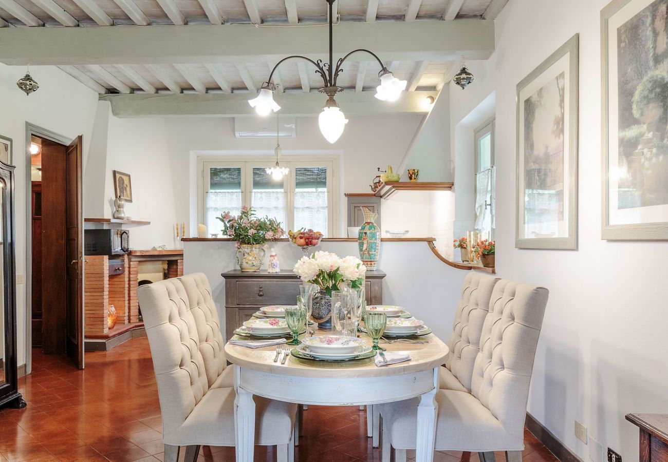 Villa in Lucca - Villa D'Amico