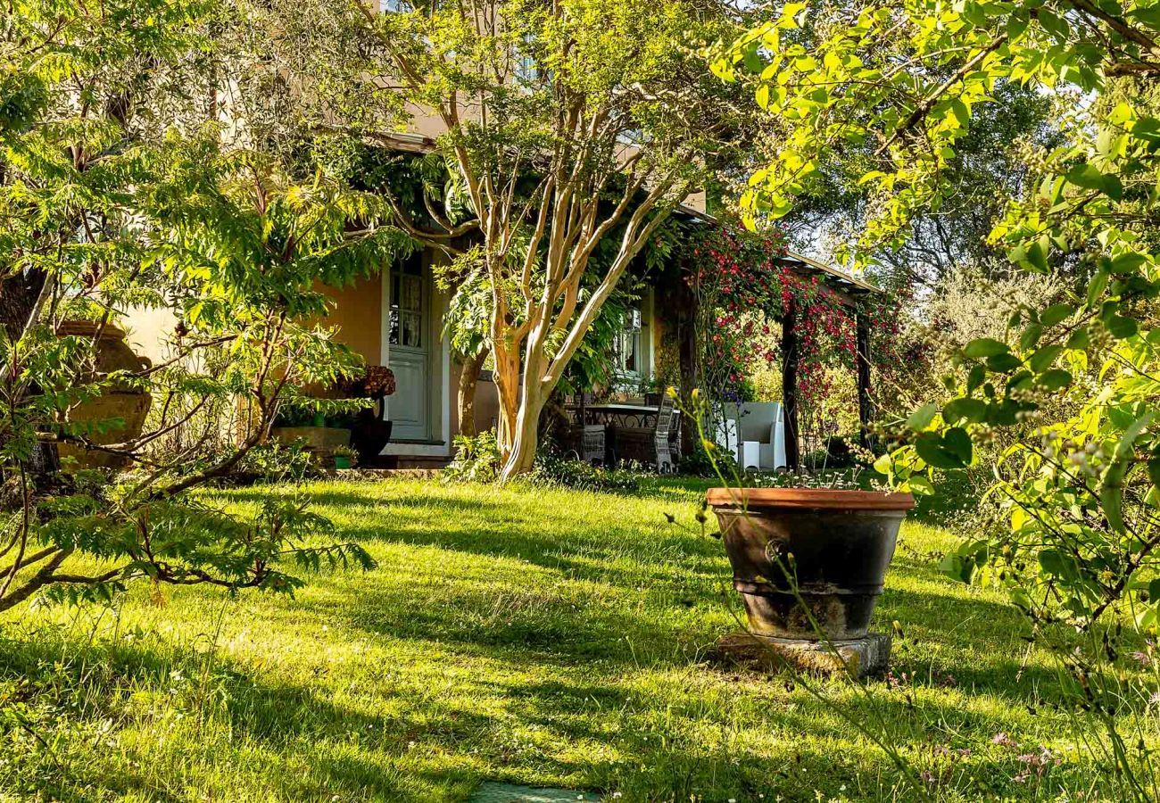 Villa in Lucca - Villa D'Amico