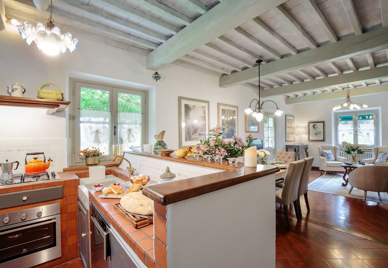 Villa in Lucca - Villa D'Amico