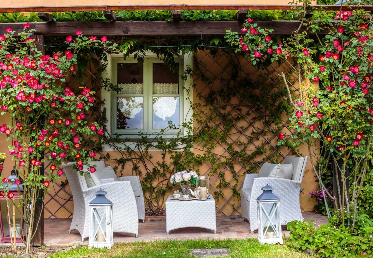 Villa in Lucca - Villa D'Amico