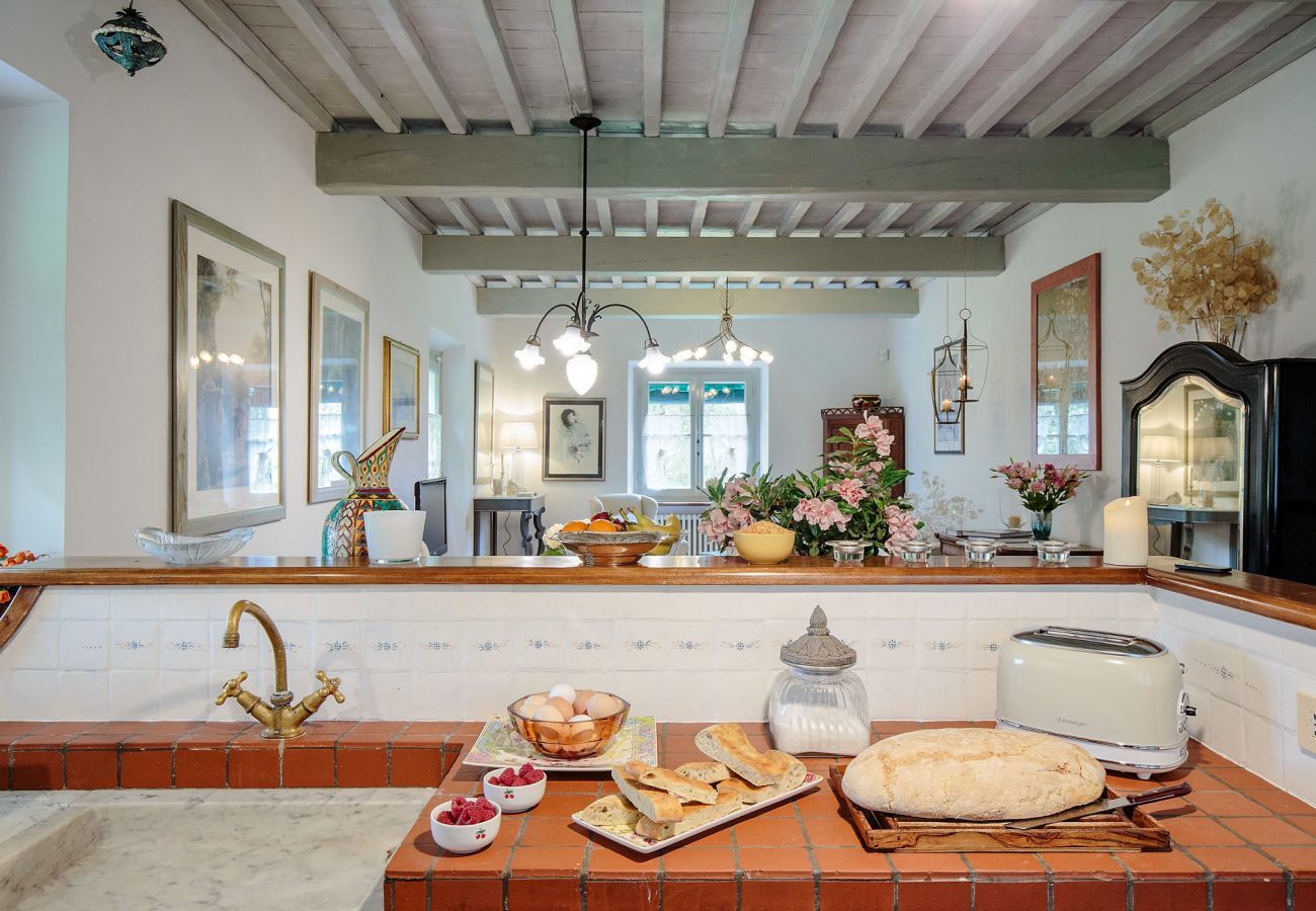 Villa in Lucca - VILLA D'AMICO, charming indulgence overlooking Lucca Town Centre