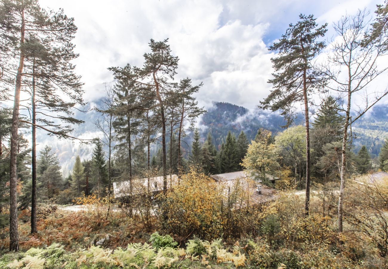 Villa in Borca di Cadore - Dolomiti Mountains' View Chalet R&R