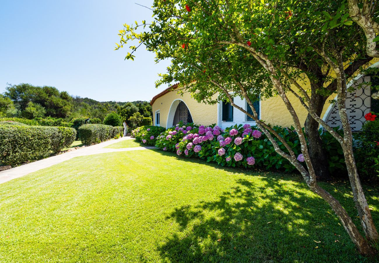 Apartment in Baia Sardinia - Rotonda Cottage 34 - casa con piscina a Baja Sardinia | KLODGE  