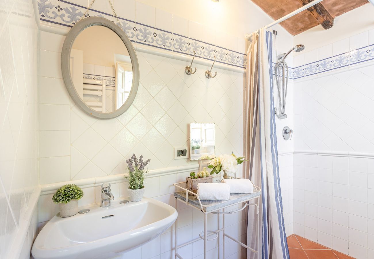 Villa in Pieve di Compito - Villa Coccinelle