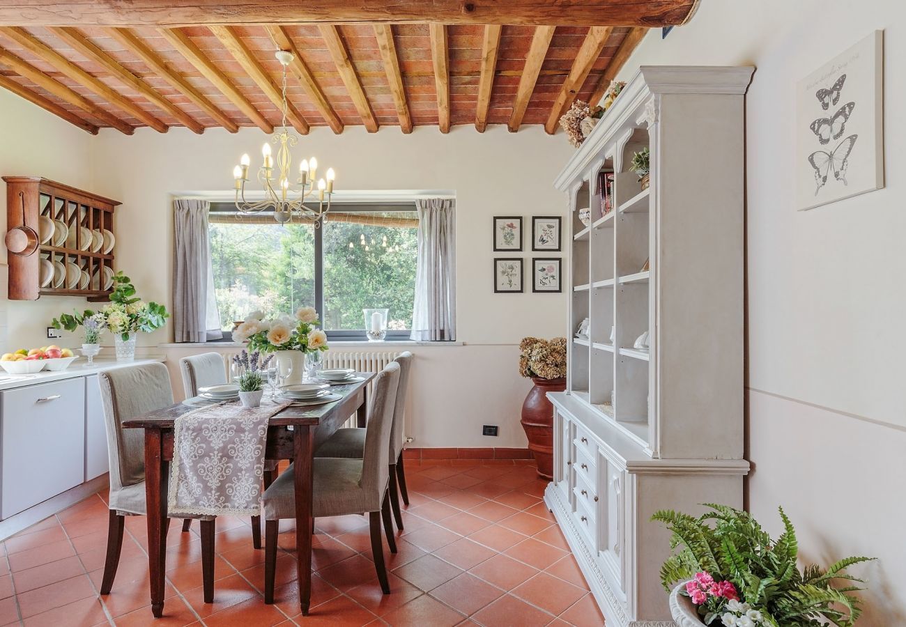 Villa in Pieve di Compito - Villa Coccinelle