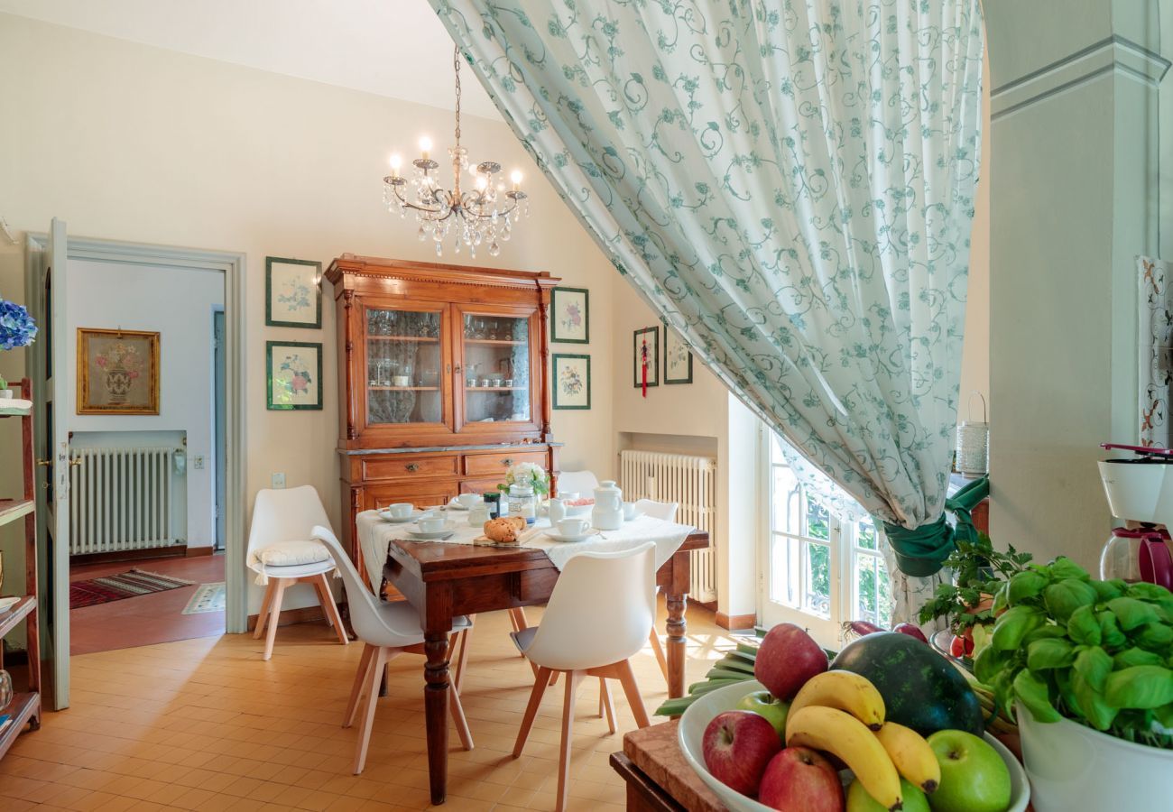 Villa in Capannori - VILLA MARCELLA an Happy Retreat with Magnificent Pool in Marlia by Lucca