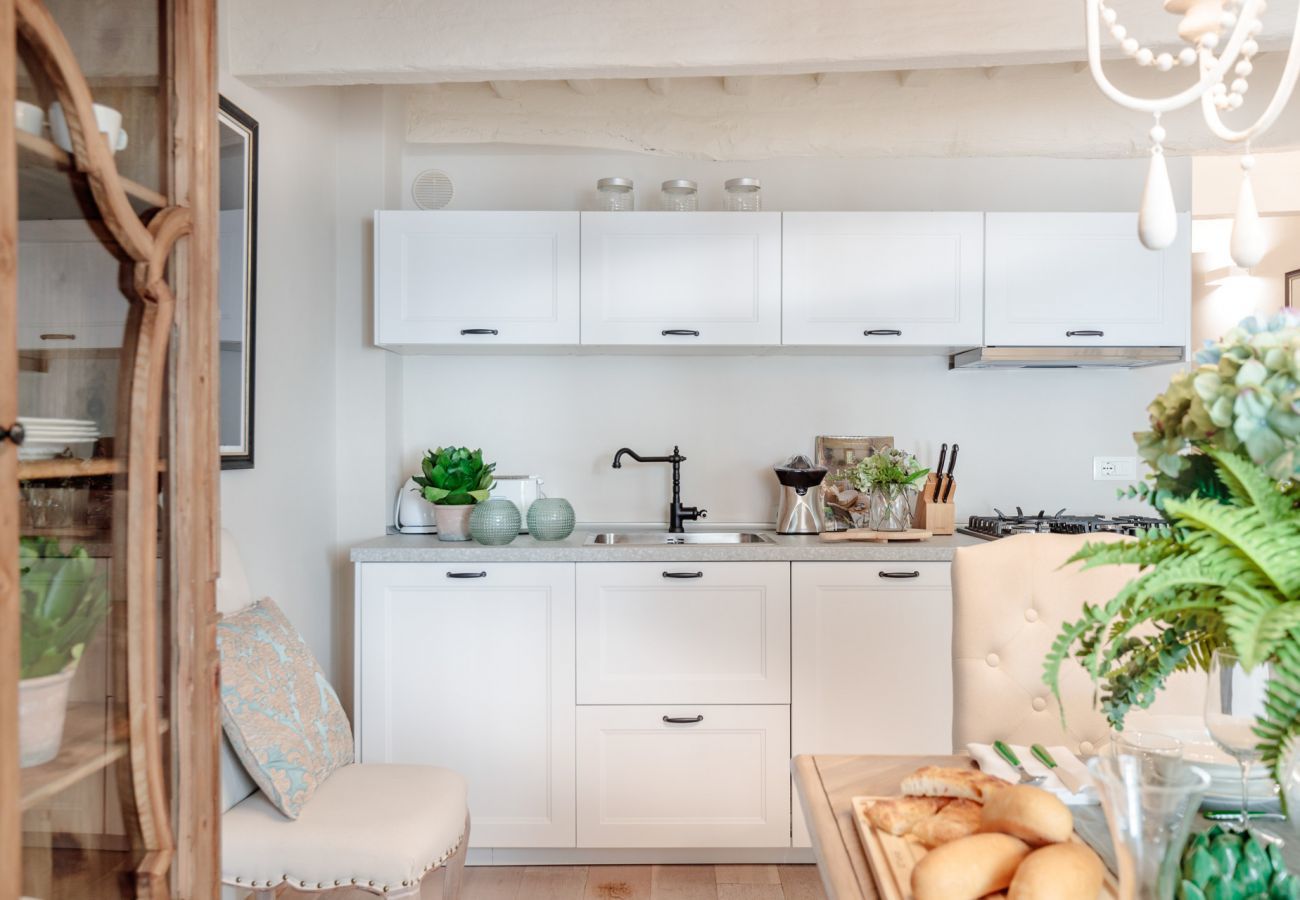 Apartment in Lucca - Casa Blanc