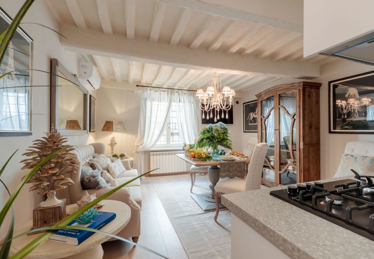 Apartment in Lucca - Casa Blanc