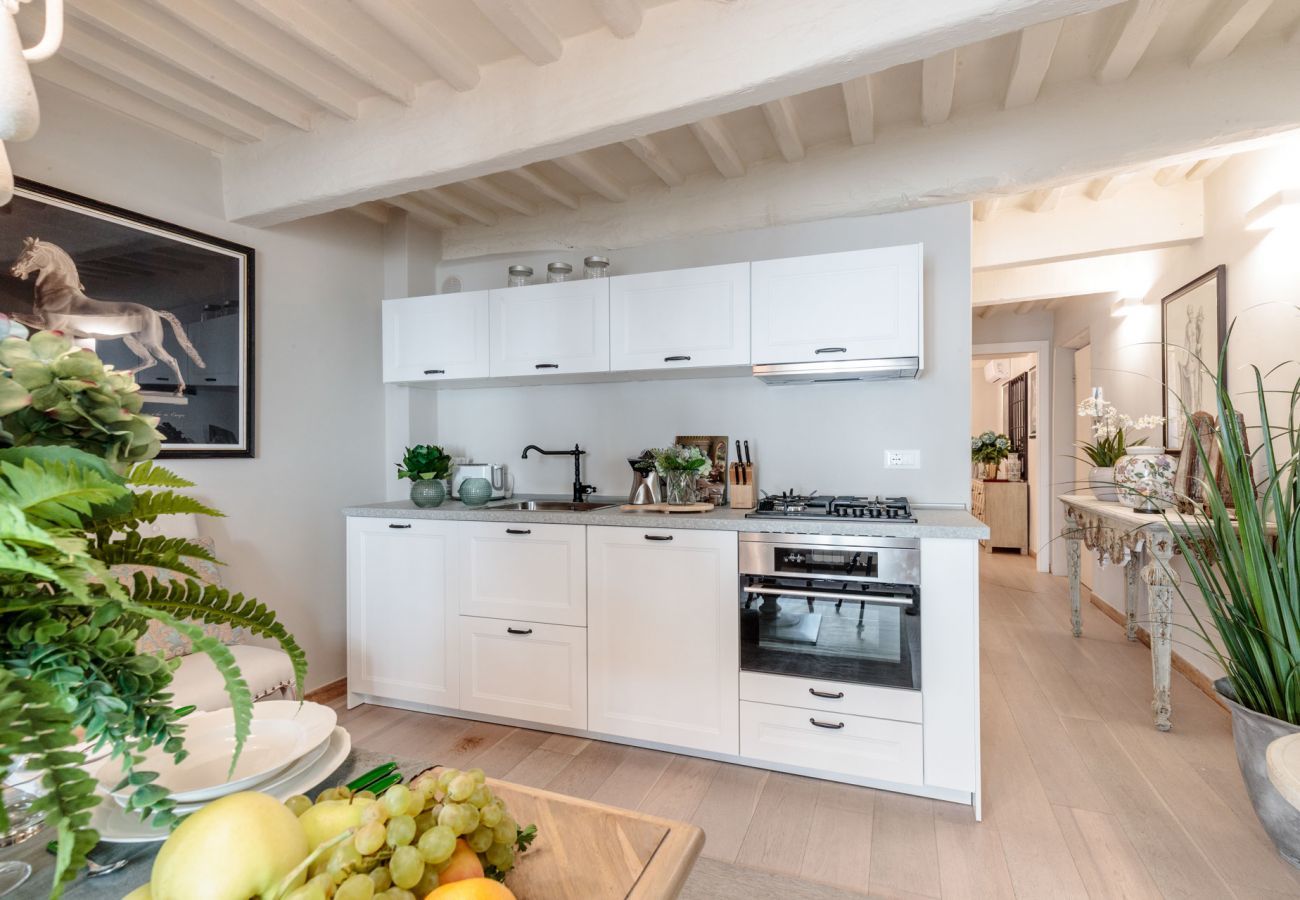 Apartment in Lucca - Casa Blanc